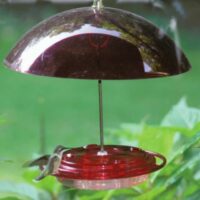 Hummerdome Feeder