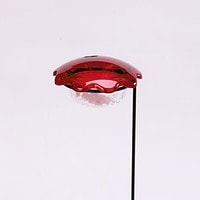 Hummingbird Stake Feeder