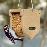Acorn Recycled Peanut Feeder