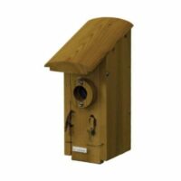 Cedar Arch Roof Bluebird House
