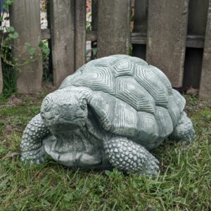 Concrete Turtle, Jumbo