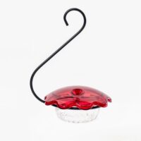 Hummingbird Single Cup Feeder