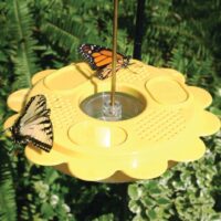 Flutterby Butterfly Feeder