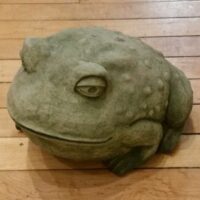 Concrete Toad, Jumbo