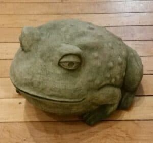 Concrete Toad, Jumbo