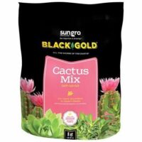 Black Gold Cactus Mix
