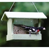 Hopper Feeder