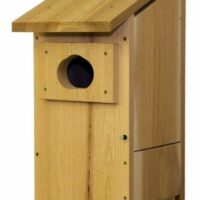 Cedar Wood Duck Box