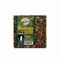 Woodpecker Feast Cake