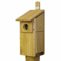 Cedar Screech Owl or Kestrel House