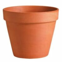 Standard Terra Cotta Pot
