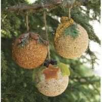 Fruit Ornament Bird Treat 3-Pack