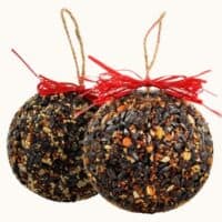 Seed and Nut Ornament