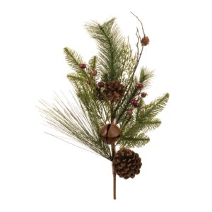 Evergreen, Bell, and Cone Spray