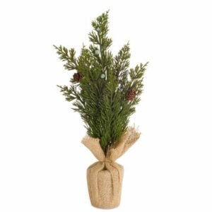 Evergreen In Burlap