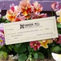 Gift Certificate