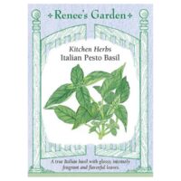 Herb Seeds