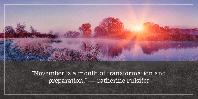 November 2025 Let's Get Gardening