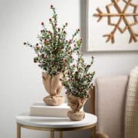 Boxwood Berry Tree