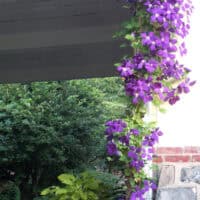 Arbors, Arches, Topiaries & Trellises