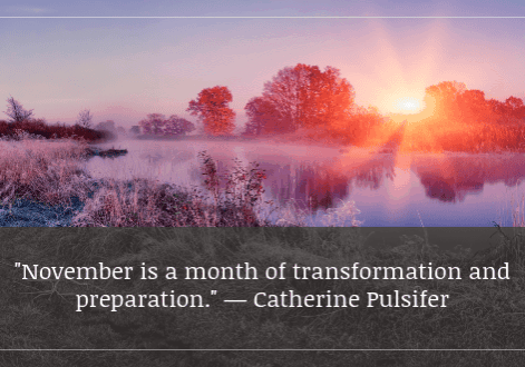 November 2025 Let's Get Gardening