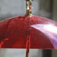 Bird Feeder Accessories
