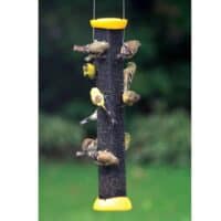 Finch Feeders