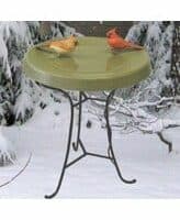 Heated Bird Baths