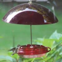 Hummingbird Feeders