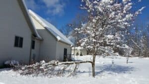 lets-get-gardening-dec15