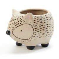 Novelty Planters
