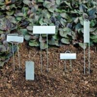 Plant Markers