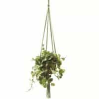 Planter Accessories