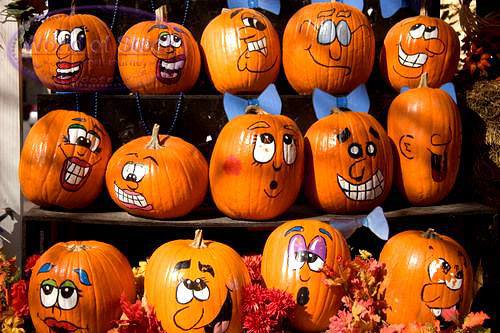 pumpkin-day_garden-mill