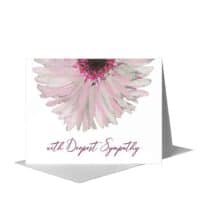 Sympathy Cards