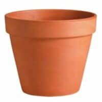 Terra Cotta Planters