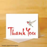 Thank You Cards